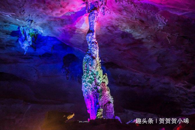 Kimi和双胞胎做蛋糕做得太多了，陈若仪把蛋糕当早餐吃